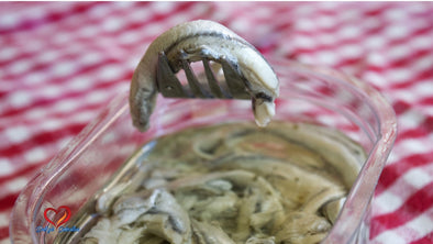 Filetti di Alici Marinate